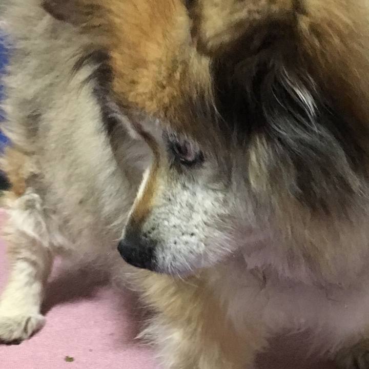 10d0c91b b6dc 47e4 b052 7418860ae1cb 1619143367061