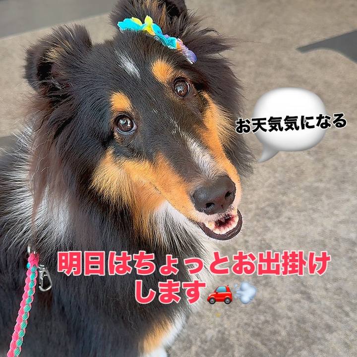 10d0dae6 ce5d 4be0 a3e5 405e1f1f34d6 1754840444188