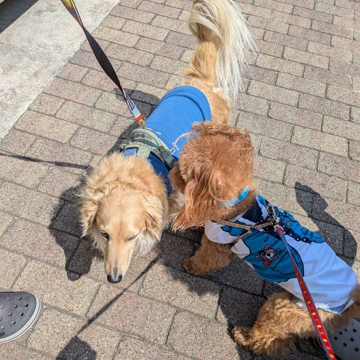 10d0e807 2ec7 42a1 b6d0 e5247b1cd391 1774143670205