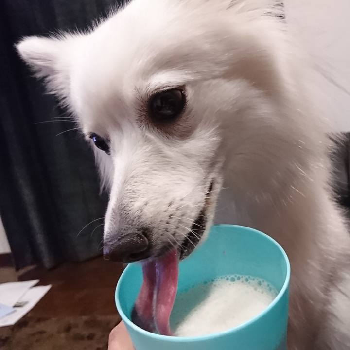 10d10394 18cd 4a11 8e47 116b92164fb0 1528898830797