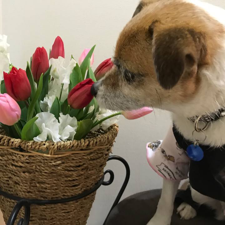 10d11299 1299 4523 bd77 94fe92bb3202 1582279506330