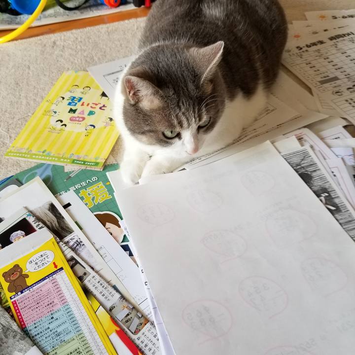 10d15065 cfa3 405f 9d33 e9b2ff748789 1597106805251