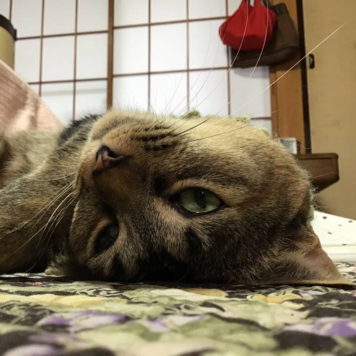 10d157fc d58e 4c03 8759 c09289cbc99d 1646694444204