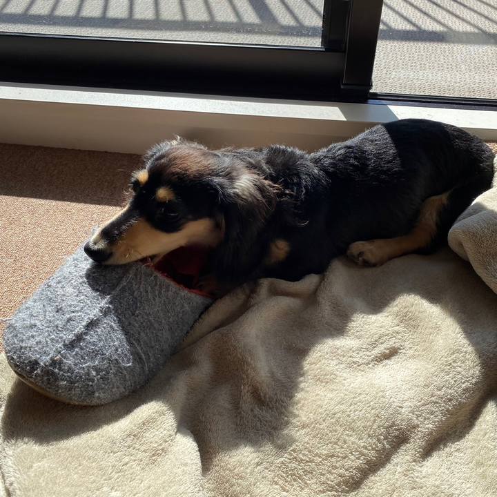 10d16099 ce97 4130 855f abaffed68fb6 1674265513327