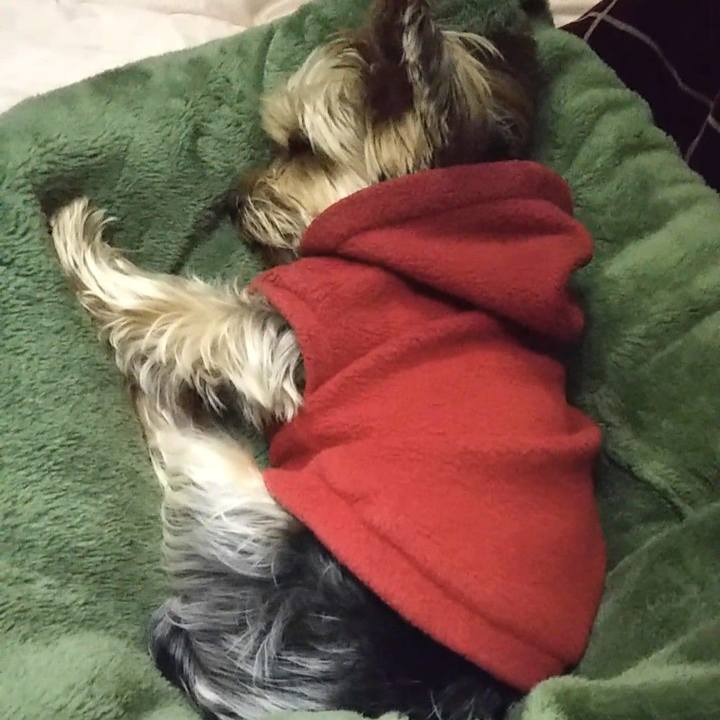 10d1c057 3283 46a0 aebe c6124f17596b 1612610978755