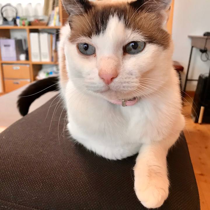 10d1c449 0082 48ae 8006 207be722d9bc 1539566419502