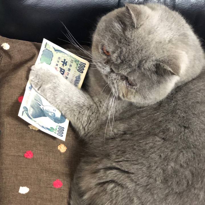 10d1ca3f acbd 41cf 89a2 b01ce078a64c 1552218429766