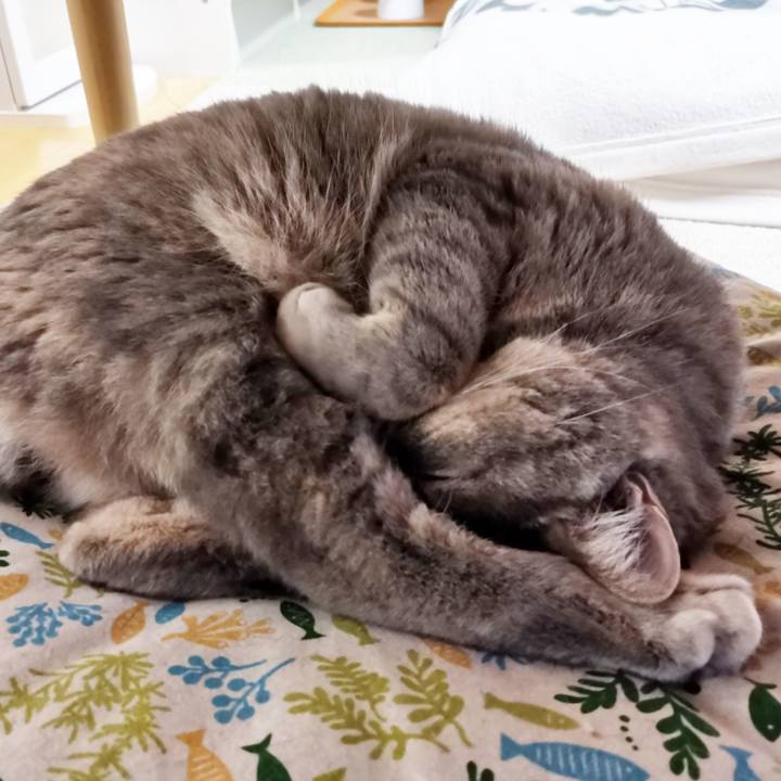 10d1e23b 98ac 43bd a03d c6620b9a4bd4 1600562044098