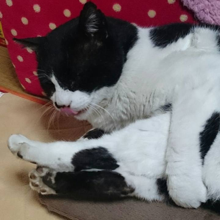 10d20cbf 481c 4420 912f 72eb6e1add1a 1520592517241