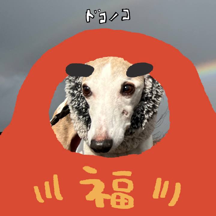 10d26337 949d 46cf 9acf 9d76cda11d8e 1772439919993