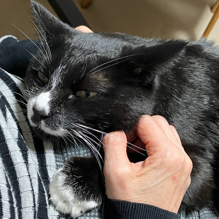 10d27622 80a0 4697 ae56 a9956a1ac05c 1741146081969