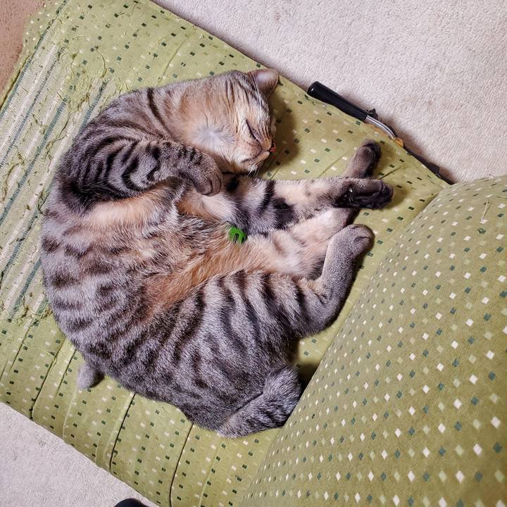 10d27c86 ea38 4484 a235 5916bc3d8742 1715148104576