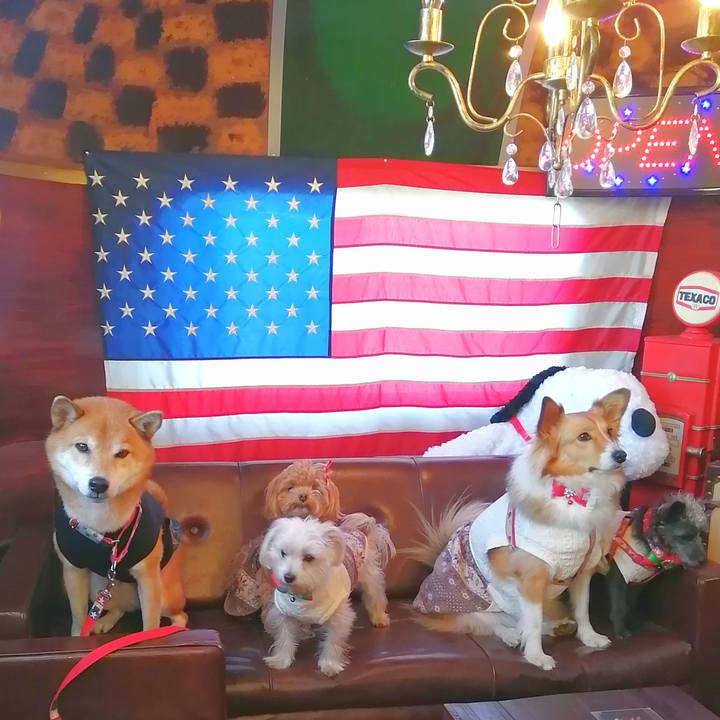 10d28ef2 6b5c 41ba aa38 ee3e37d437c6 1671441104472