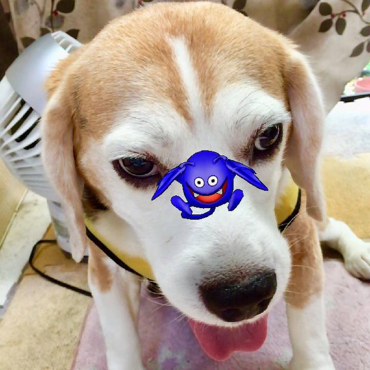 10d317bc 8258 403c b648 ee5206edf8e6 1568541348095