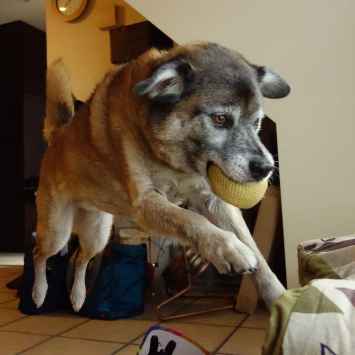 10d318db 6e4f 406f 8563 7d4a528c0611 1566603914982