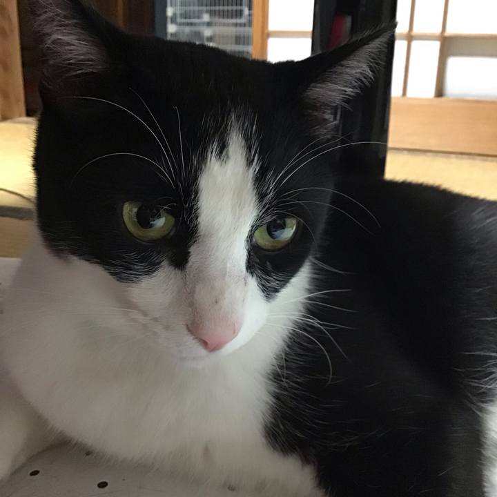 10d319d1 f5c3 4ec9 b9f1 20b666df58a2 1687957921441