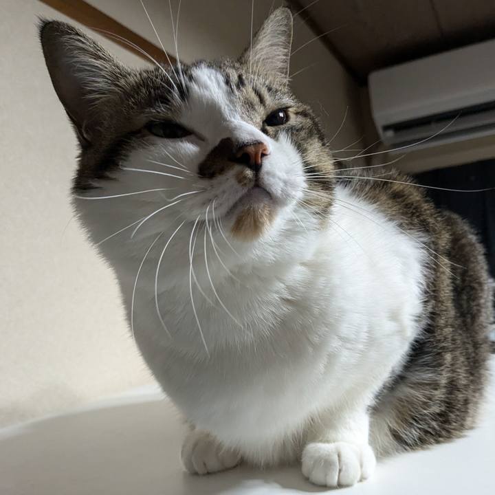 10d3ad82 26c5 42f1 95e8 1bab1ff70f4d 1731144963067