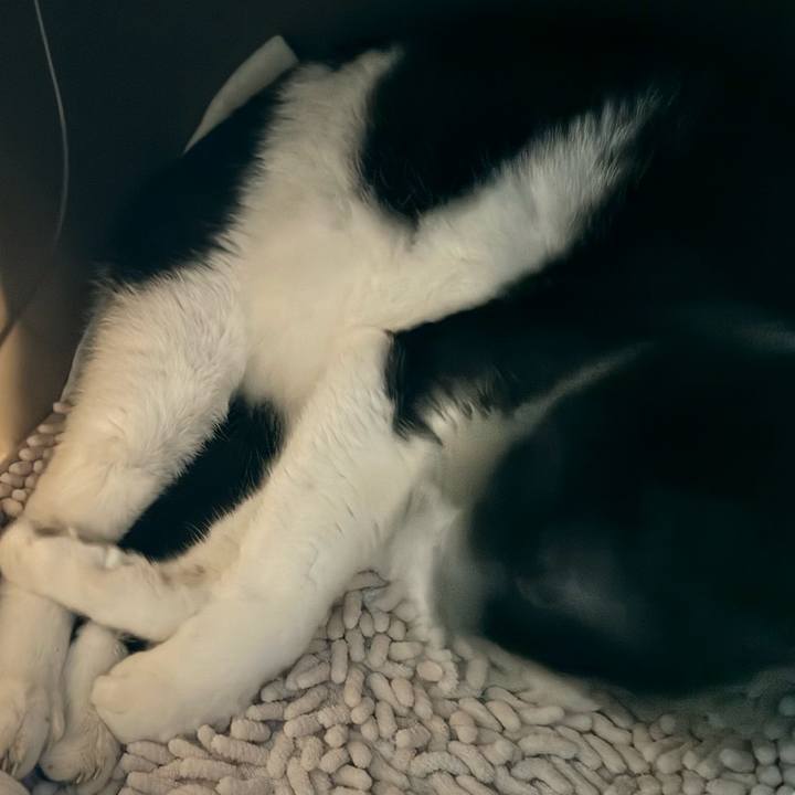 10d3c5d4 16e9 465b 984a 724fd34b884b 1716780038449