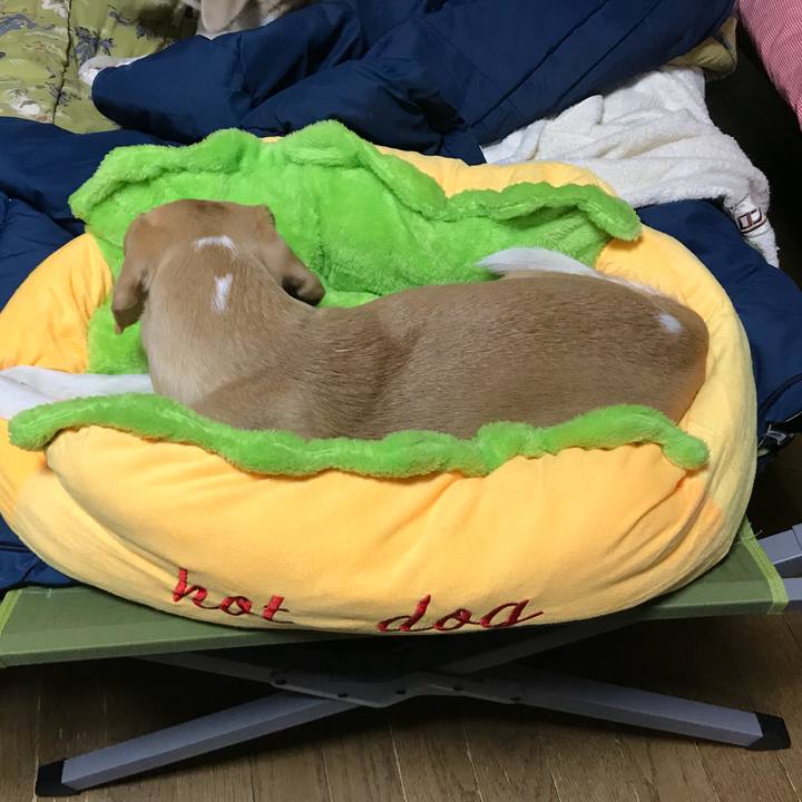 10d3cb66 3b01 4a29 bbff 33cbe10f98f3 1513259988296