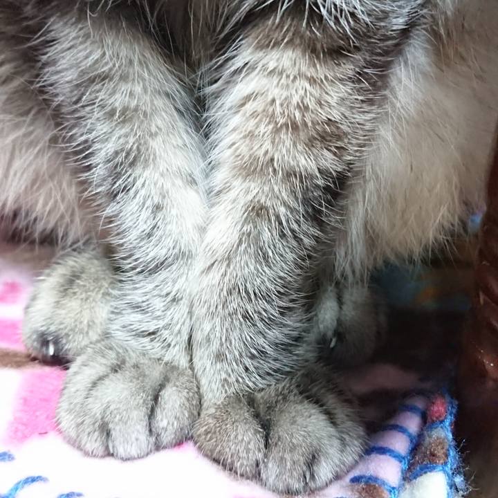 10d3e5da 2d7d 4593 af26 6e6ee4760638 1570013587419