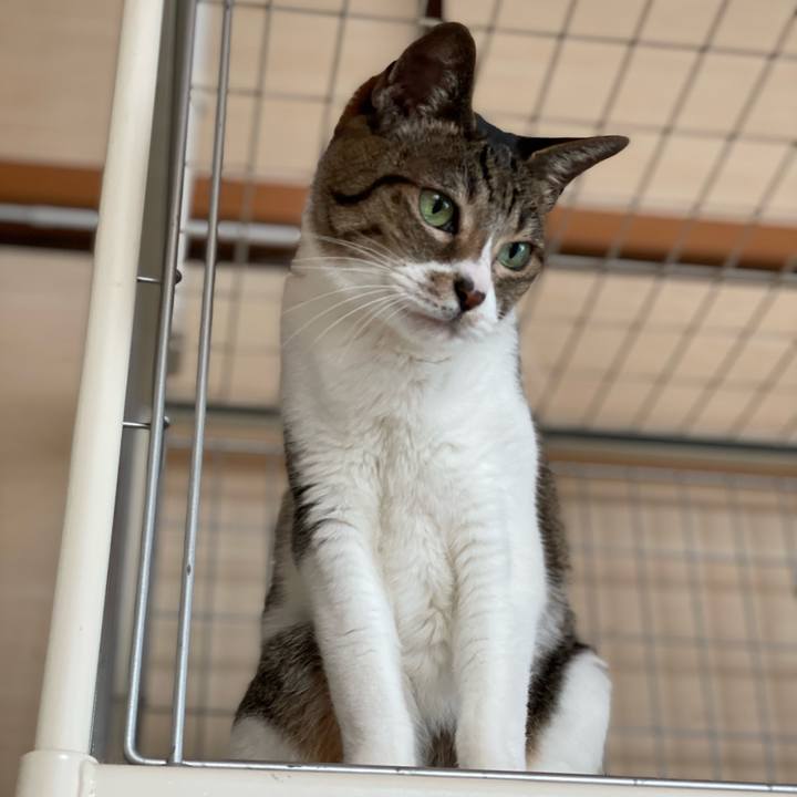 10d43987 a5b9 4aa0 98ec 4f0bd4585b12 1641952309772