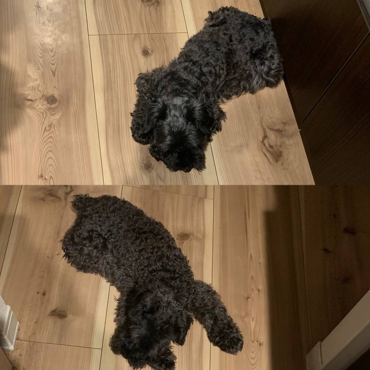 10d43a6d ff65 4fa1 b0aa 4712f15f29fd 1596452975506