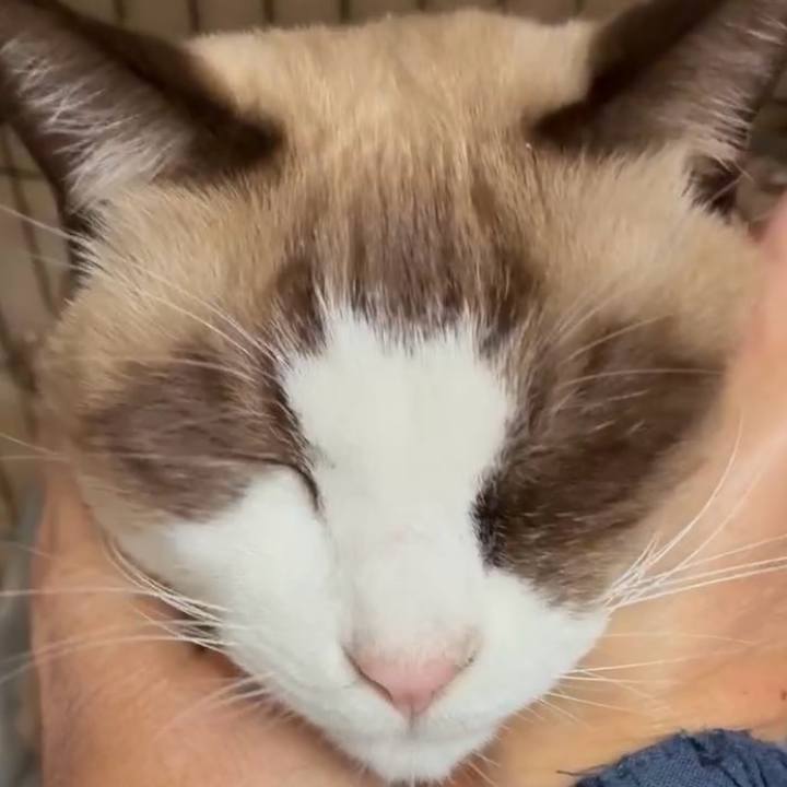 10d443f0 2809 4931 afa5 b59adfc84b68 1763347548374