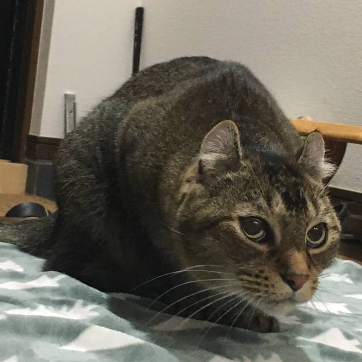 10d464a5 9b5c 4100 929a bd2744aa4a3d 1665724596138