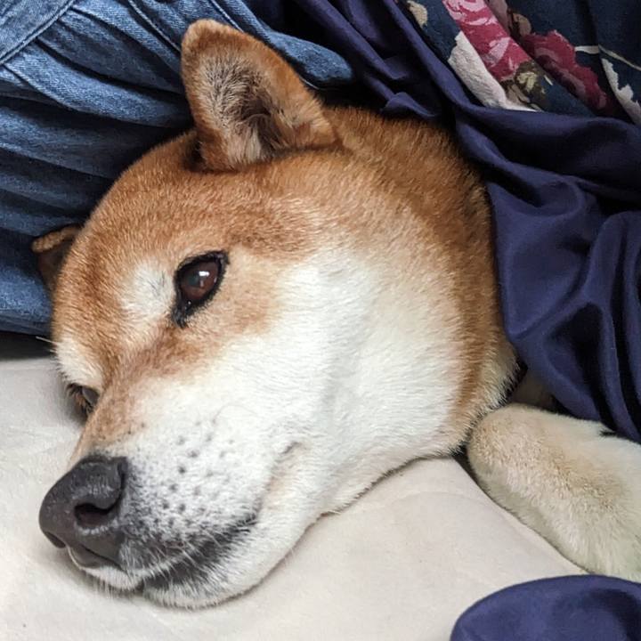 10d48094 75a7 401a 8bb4 cc8151ec1959 1711403775268