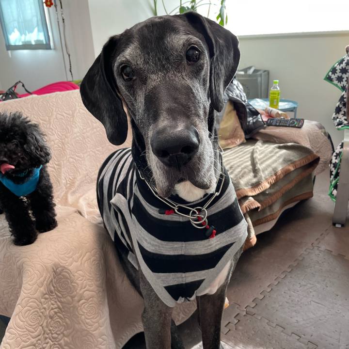 10d4b478 e854 46be b5e4 dac08d5230b4 1637197891914