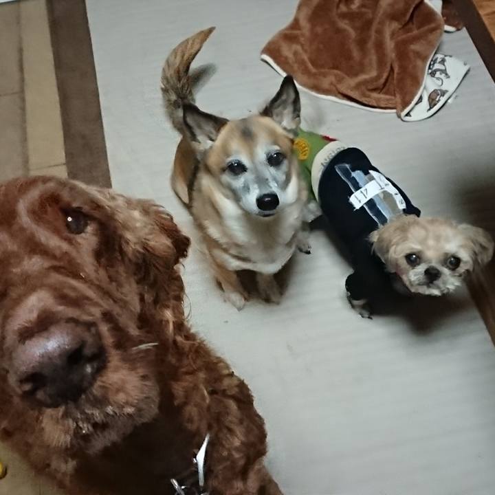 10d4b4fa ce84 4bae 8029 e95ad0674288 1523401025618