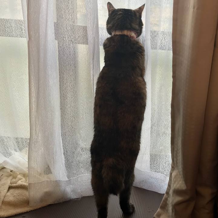 10d4c725 f9ad 42cf 87e7 e122d2ea6472 1511913569310