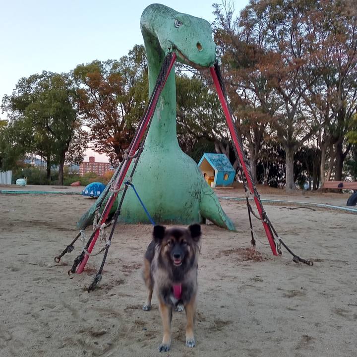 10d4fdc4 5bae 4183 b470 0bed72065fec 1762765939919