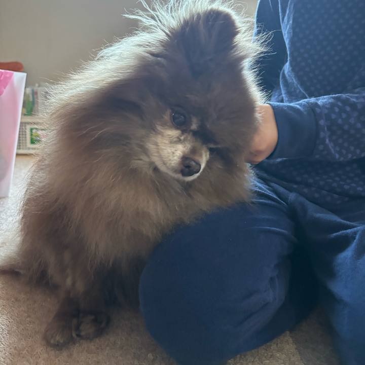 10d507f3 1b7b 44bd 852b fb04db913f9f 1741045170966