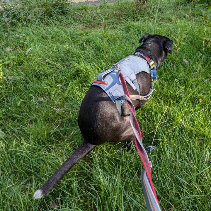 10d57931 5c28 4aec b2a8 85b3893c9340 1728606316676