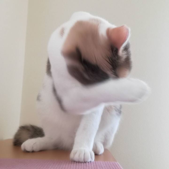 10d58446 be36 4f74 b424 3ea0b5c0ec3e 1526439481852