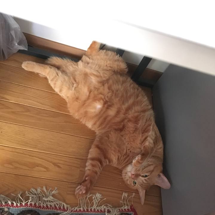 10d5b5c1 2714 4763 bd54 a7bccf1f9fbb 1564310916146