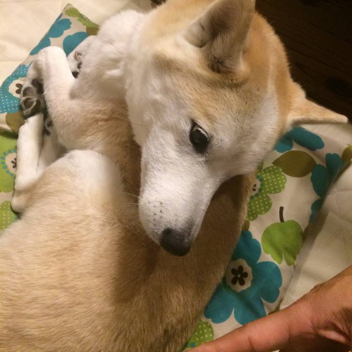 10d5ca8c 233c 45d4 b84c 799ecf85ade0 1549033076964