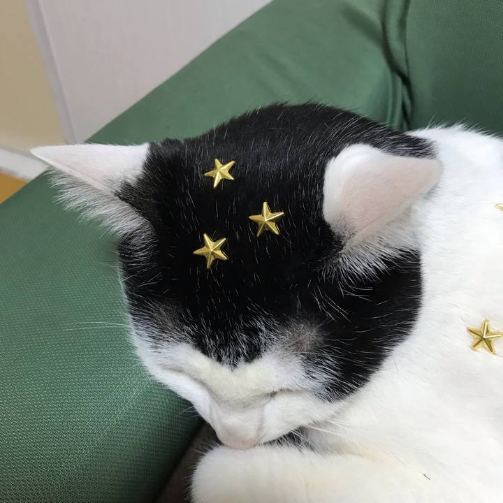 10d65c4d 1ada 4eec 9ad3 044f1633456b 1552306945203