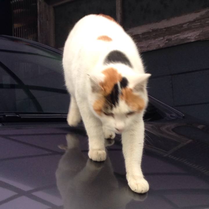 10d66144 eac9 4f13 89f8 bd61272317a5 1508325731243