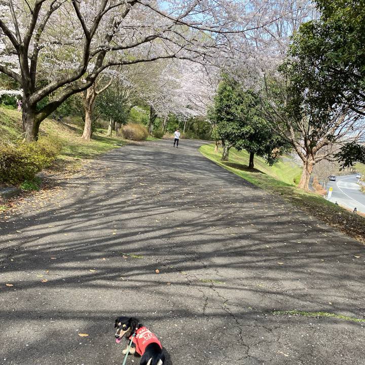 10d672af 85ae 4406 be1f faca04a8c83f 1712497646876