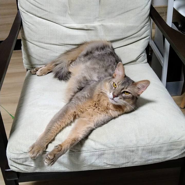 10d67c99 24cc 4527 9759 aae1b32d93fe 1602410319263