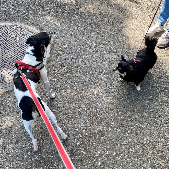 10d68a6b c2d1 4672 b7e4 6462fe47f433 1592360328307