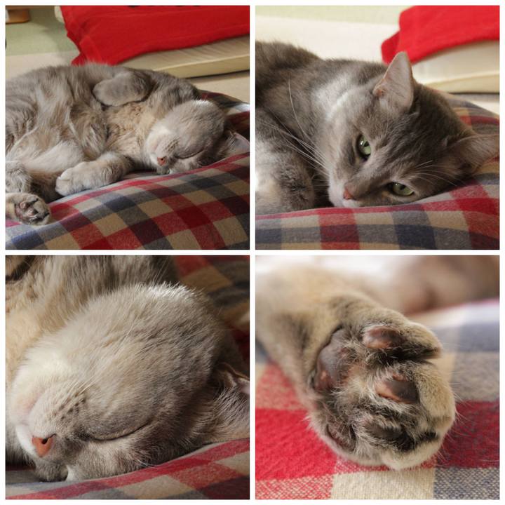 10d695db abee 4f90 96e9 27a12cfed5f2 1623226484542