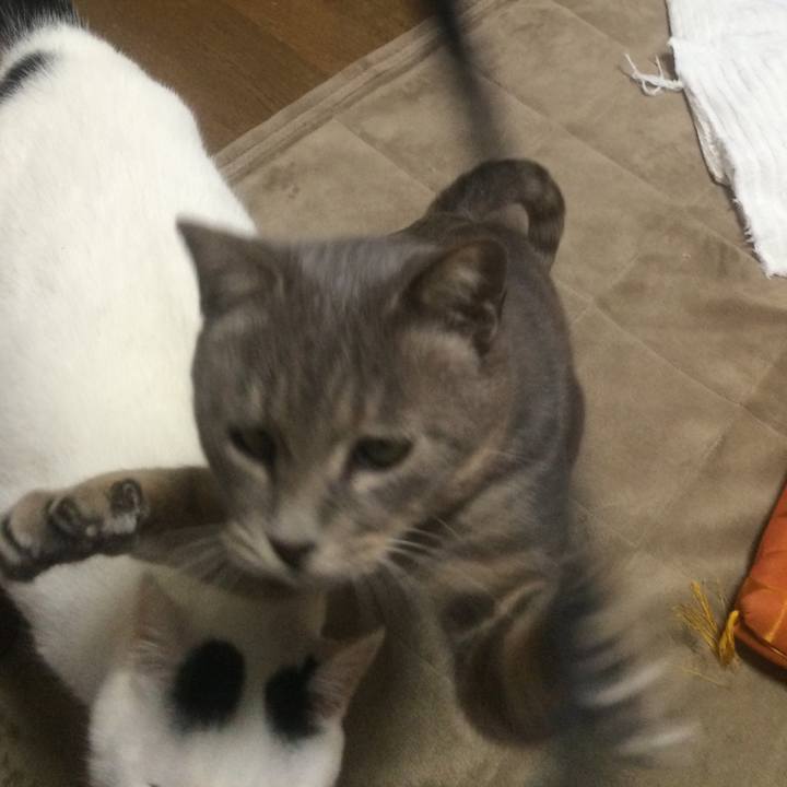 10d6b337 54b1 4328 85f3 f131100a6589 1509438400761