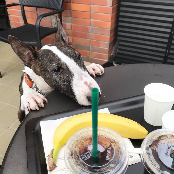 10d6b4f2 c5b3 4fb0 a4fa 6667dffb8ad4 1521368379846