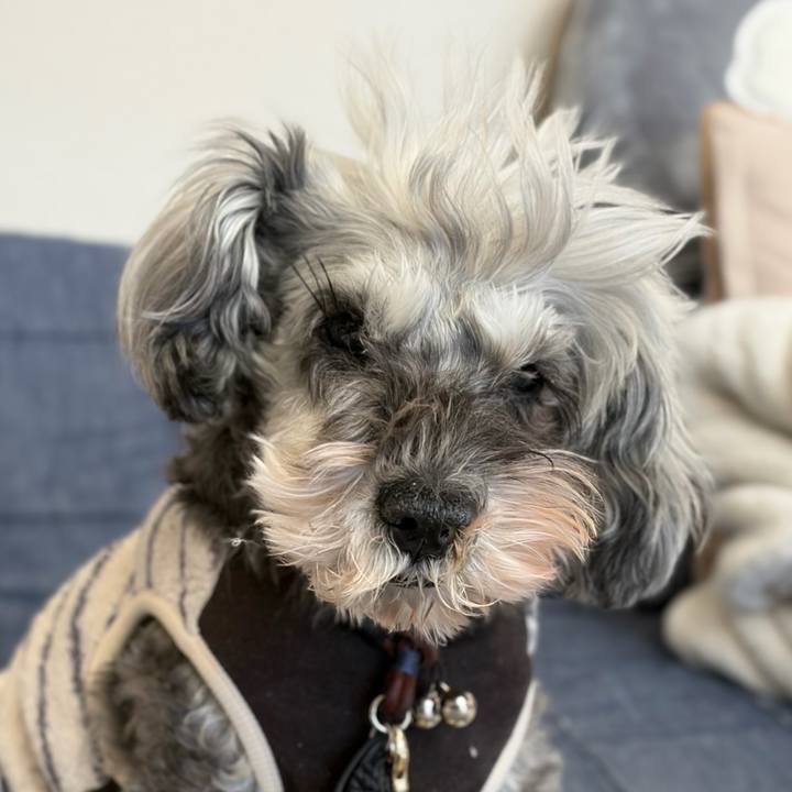 10d6e567 32e4 4642 aed0 f08b960ff4a6 1769828217879