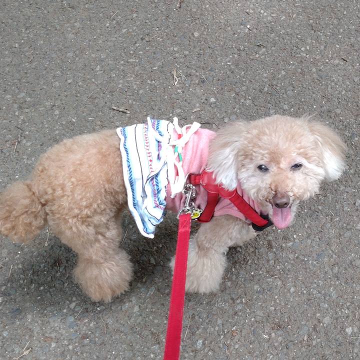 10d71757 58cb 4135 a669 4763bc2598d5 1655003778004