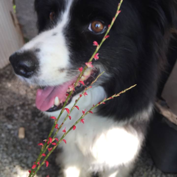 10d72d51 36fa 4a54 abca 07f28b86011e 1567644093681