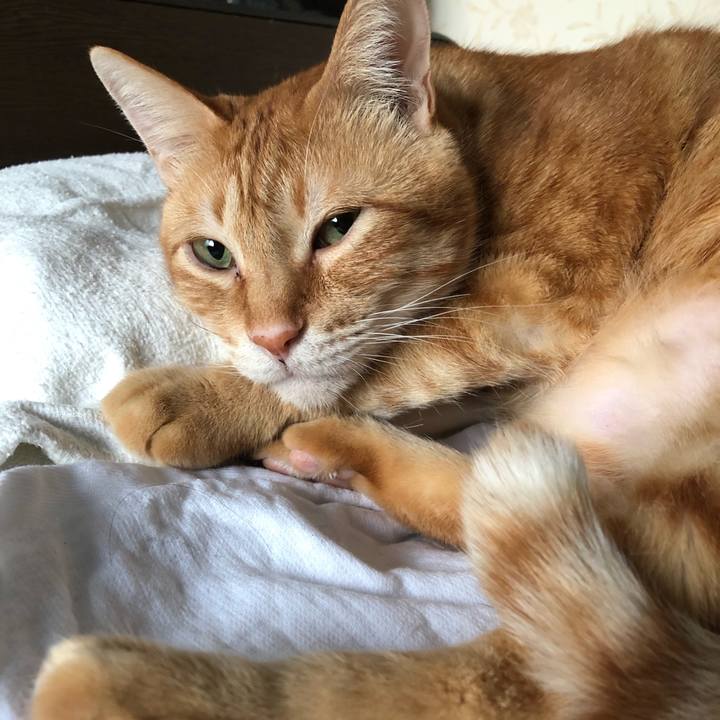 10d76951 875d 46e6 83af 3f896778d74a 1574852355370